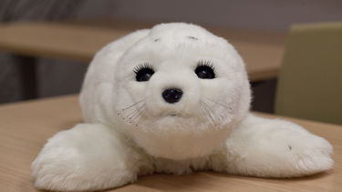 Paro seal