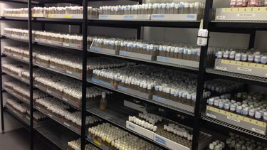 An exterior view of storage shelves at the Fly Facility