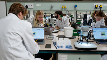 Students in the lab for a practical
