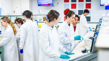 Biochemistry students in the lab