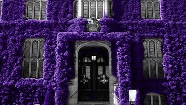 Firth Court building with foliage highlighted in purple