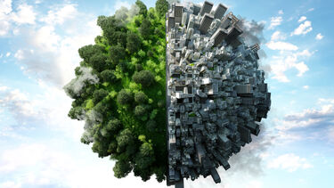  Image credit: Andriy Onufriyenko