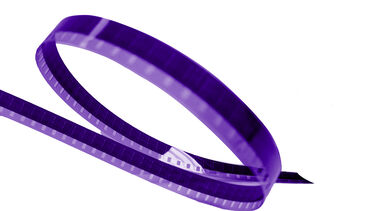 Purple film reel 