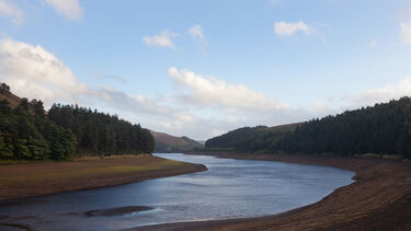 A view of a river winding through a forest in the Peak District