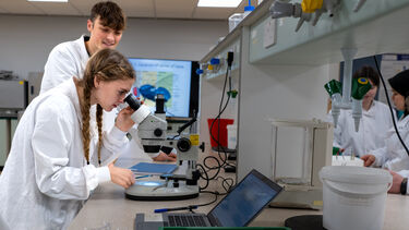 Students working in the lab