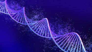 DNA structure