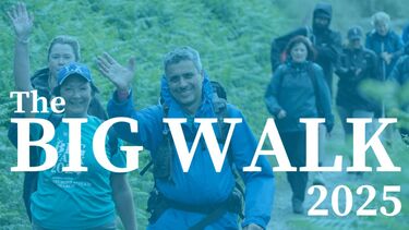 Big walk promotional poster