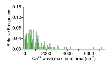 Ex vivo data