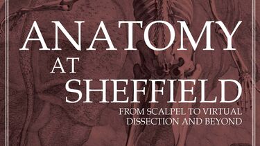 A poster for the Anatomy at Sheffield Exhibition