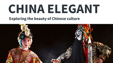 china elegant 