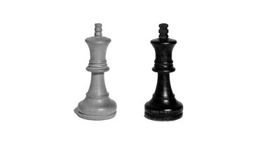 Two chess pieces