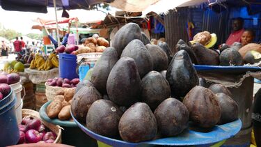 Avocados on a market stall