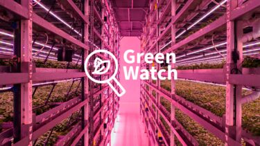 A corridor in a vertical farm warehouse with the Green Watch logo overlaid 