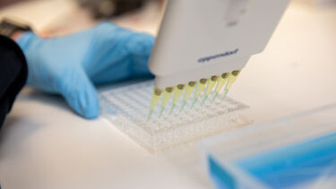 Blue gloved hands holding a set of pipettes in a lab