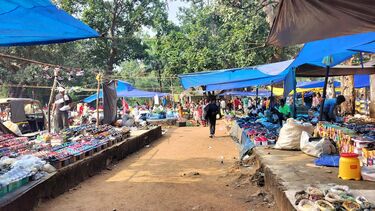 A rural market for fruits and vegetables in Keonjhar district of Odisha, India