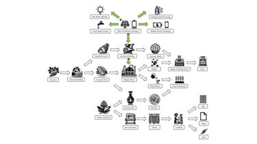 Schematic of the integrated solar-PV-biogas scheme and the adjacent value chains realised at the Ibiade site.