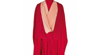 Back of a person wearing formal graduation robes for a higher doctorate