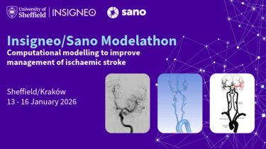 Insigneo event graphic - Insigneo/Sano Modelathon Computational modelling to improve management of ischaemic stroke    Sheffield/Kraków13 - 16 January 2026
