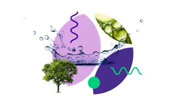 graphic with water droplet and tree
