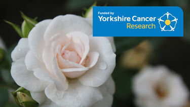 Flower and YCR logo