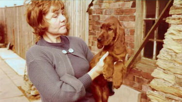 Michelle Webster in the 1970s, holding a small Irish Setter in a back yard