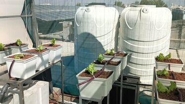 Hydroponic system