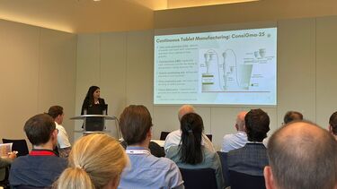 A researcher giving a presentation 