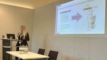 A researcher giving a presentation