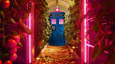  A TARDIS police box stands at the end of a long, narrow hydroponic growing room. The path is covered in sparkling gold material, and on either side, rows of lush tomato plants with ripe red fruit are illuminated by bright pink neon lights.