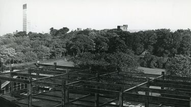 Elmfield 1966