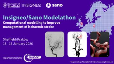 Insigneo event graphic - Insigneo/Sano Modelathon Computational modelling to improve management of ischaemic stroke    Sheffield/Kraków13 - 16 January 2026