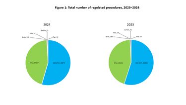 Pie chart of the total number of regulated procedures, 2023-2024