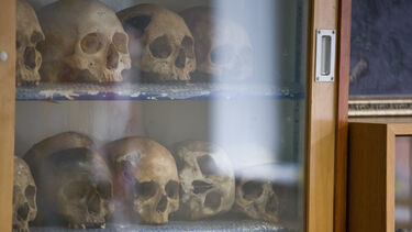 Photo of human skulls in a cabinet