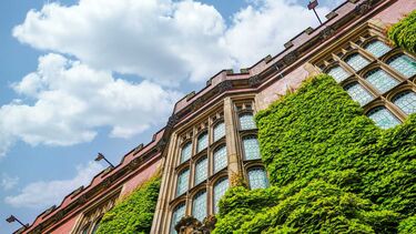 Image of firth court