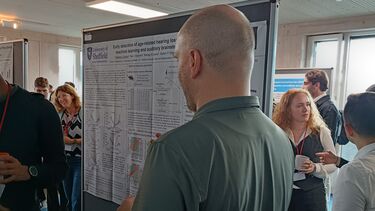 Fede's poster