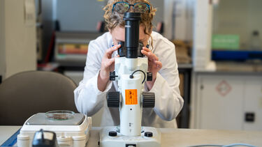 Student in the lab using a microscope