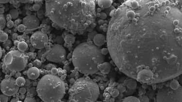 Characterisation Image Natasha Sweeney Fort