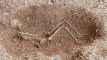 Photo of a an archaeological dig showing a skeleton with featal skeleton
