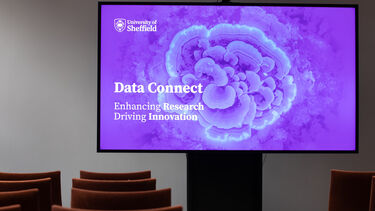 Data Connect presentation