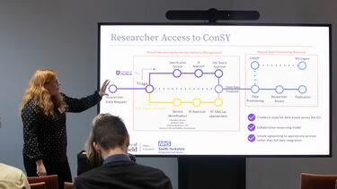 Researcher Access to ConSY