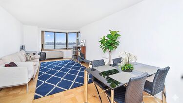 living room with sofa and dining table and chairs and blue rug and plant