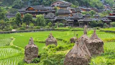 Houses in a Dong village