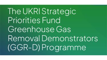 An image of the front cover of the report, showing white text on a green background