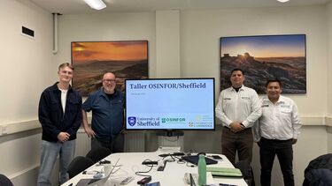 Illegal tree logging - project team