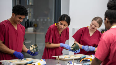 Four first year students working in the Dental Technology Unit