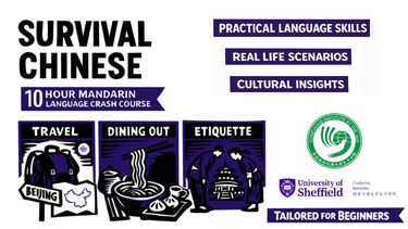 CI- Web Banner, Survival Chinese