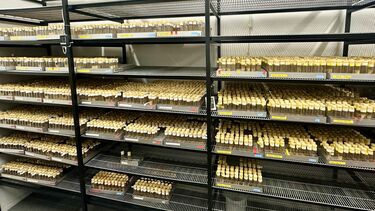 Thousands of foam bunged glass vials containing Drosophila stock lines.