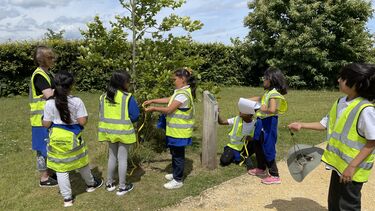 A group of six children gathered around a sapling