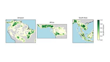 Potential oil palm expansion for 2050 in South America, Africa and southeast Asia. 