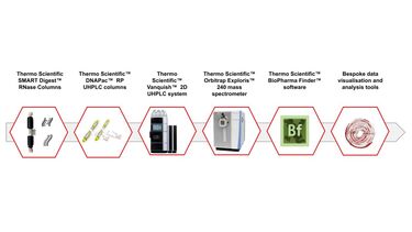 Online partial RNAse T1 digests